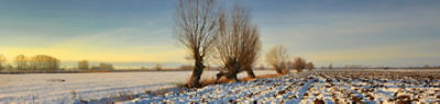 Corteva_Winterveranstaltungen