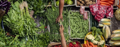 Cortevaglobalfoodsecurity1440560