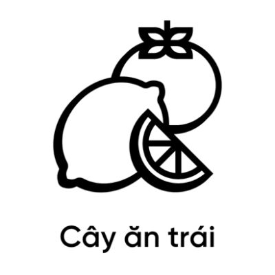Cây ăn trái
