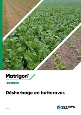 Brochure Désherbage en betteraves 2022