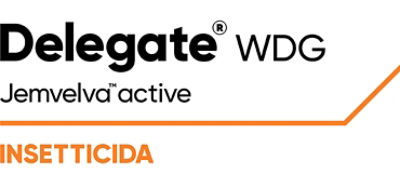 Logo Delegate WDG