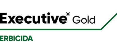Logo Executive Gold