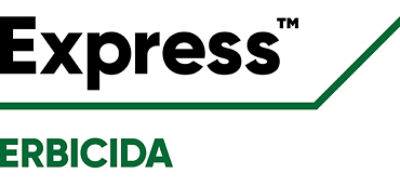 Logo Express