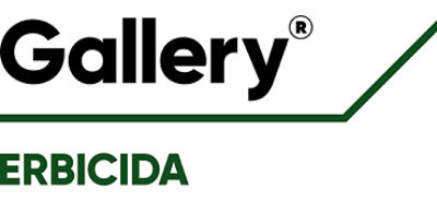 Logo Gallery