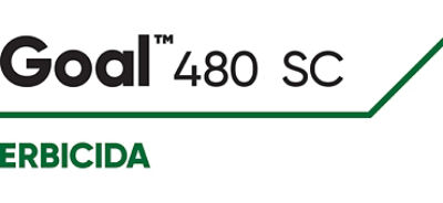 Logo Goal 480 SC