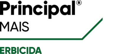 Logo Principal Mais