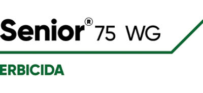 Logo Senior 75 WG