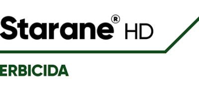 Logo Starane HD