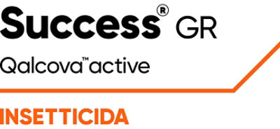 Logo Success GR