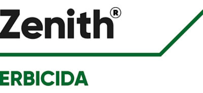 Logo Zenith