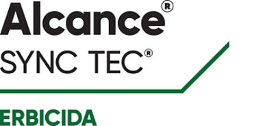 Logo Alcance Sync Tec