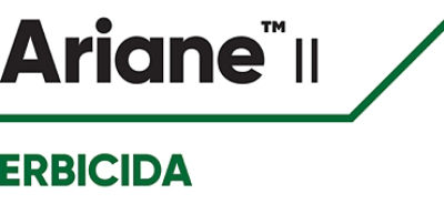 Logo Ariane II
