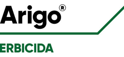 Logo Arigo