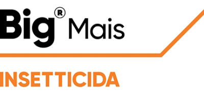 Logo Big Mais