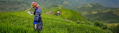 woman in crop field holding notepad