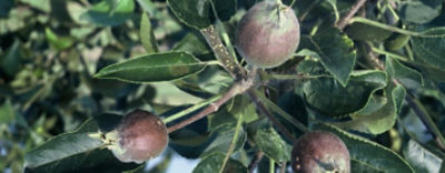 Delegateindexphoto1440