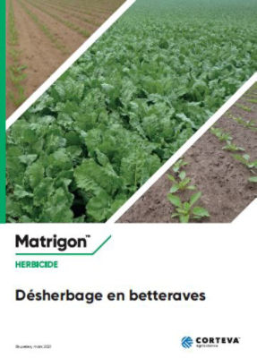 Desherbage_en_betteraves_Matrigon_2021_front