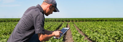 Desktopx_1_Agronomist Using a Tablet in an Agricultural Field