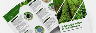 Digitale Aaltjesbrochure