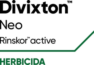 Divixton™ Neo 