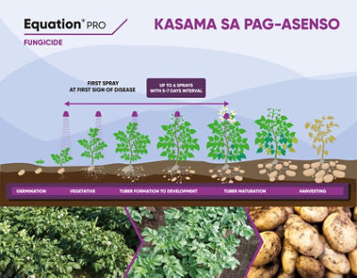 Equation Pro Timing of Application