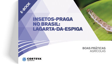 Insetos praga no Brasil: Lagarta-da-espiga