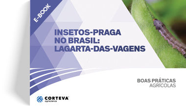 Insetos praga no Brasil: Lagarta-das-vagens