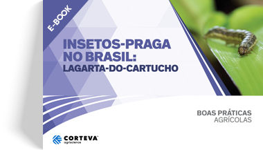 Insetos praga no Brasil: Lagarta-do-cartucho