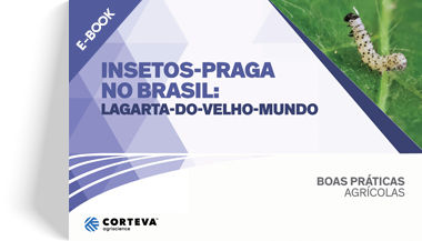 Insetos praga no Brasil: Lagarta-do-velho-mundo