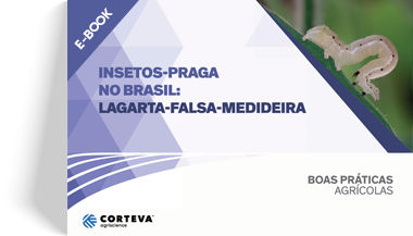 Insetos praga no Brasil: Lagarta-falsa-medideira