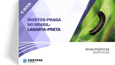 Insetos praga no Brasil: Lagarta-preta