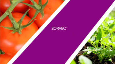 Zorvec™ Encantia™ 