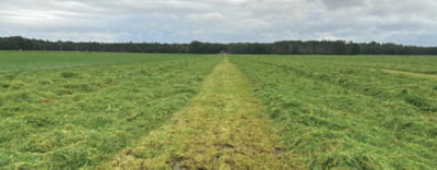 Eerste-snede-voorlopig-flinke-uitdaging