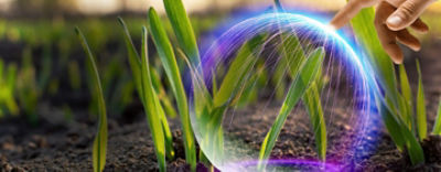 Elipris carousel website.jpg