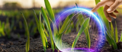 Elipris™ – naujas herbicidas javams