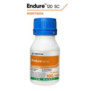 Endure 120 SC Cabai
