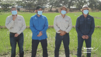 Entrevista Corteva - Xevelo