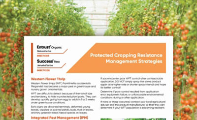 Protected Cropping Resistance Management Strategies