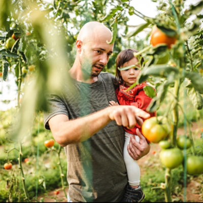 Entrust Organic insecticide