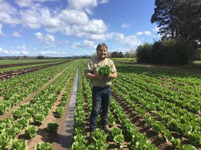 Kim Martin of Frais Farms