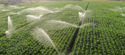 field being irrigated