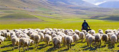 farmer with shoop
