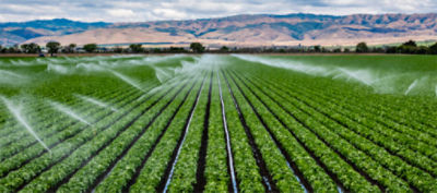 irrigation field in spain