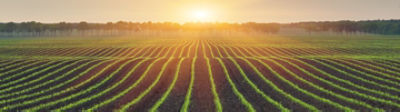 Product Stewardship banner
