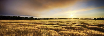field horizon sunrise