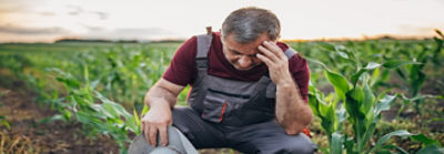 Man showing Covid Farm Crisis stress