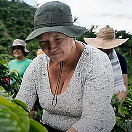 Women in agriculture face barriers
