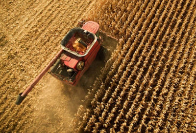 Focus-Mapas-de-rendimiento