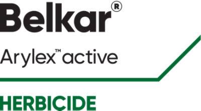 Belkar logo