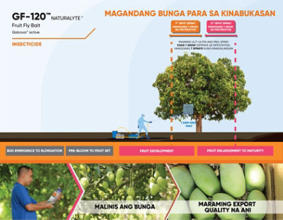 GF-120 Mango Timing of Application 